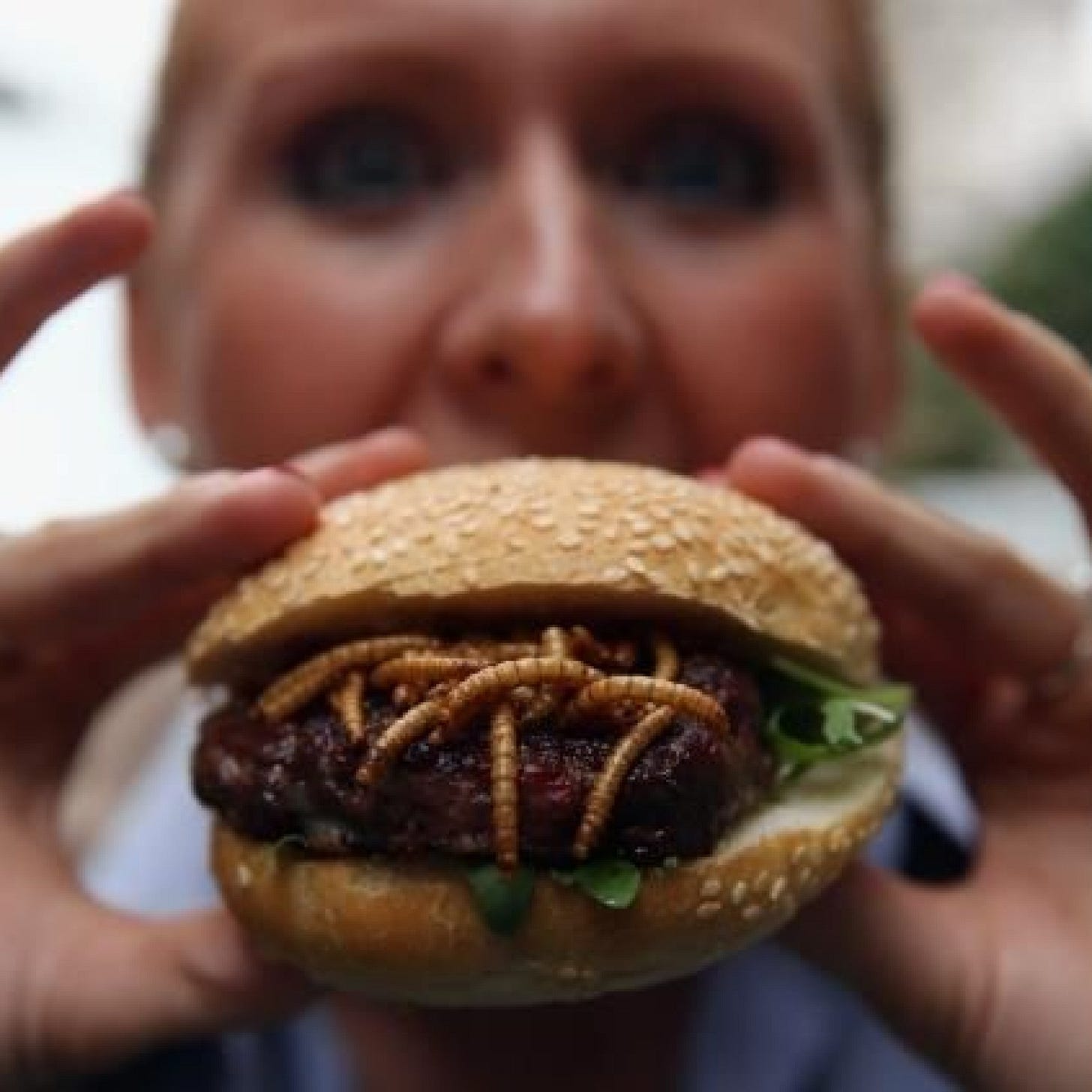 Pestaurant' Serves Up Bugs For One Day Only: BBQ Mealworms Or  Chocolate-Dipped Ants, Anyone?