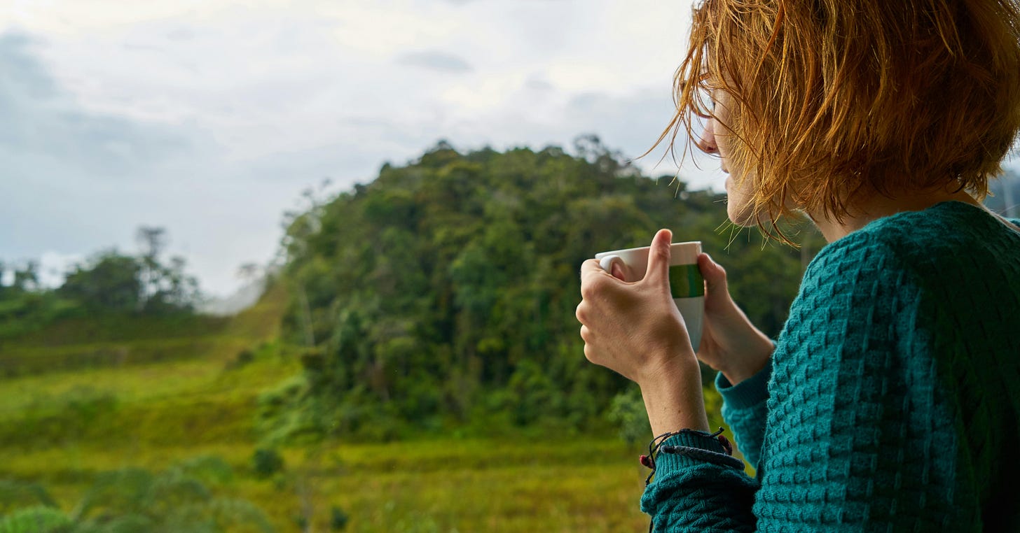 Woman with auburn hair wearing a teal sweater holds a mug and looks out onto a field with trees