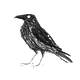 c-value paradox