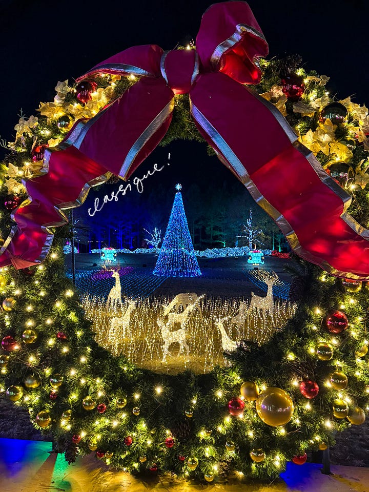 Carolina Holiday Light Spectacular Ballantyne Backyard
