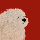 Most of your limitations aren't real and you can *actually* just do things