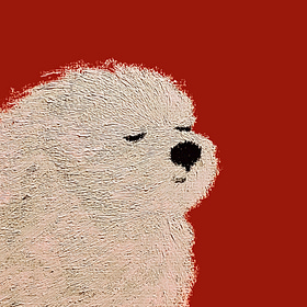 Most of your limitations aren't real and you can *actually* just do things