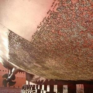 A close-up of a boat
AI-generated content may be incorrect. A close-up of a boat
AI-generated content may be incorrect.