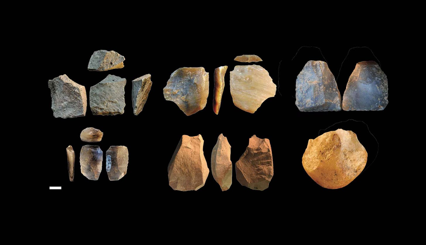 Oldowan flakes from Namorotukunan, Kenya