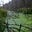 pond scum's avatar