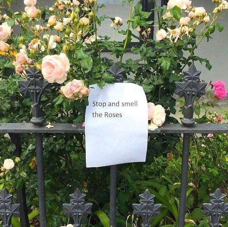 This may contain: a sign that says stop and smell the roses on a fence with flowers in the background