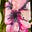 Jessbutterfly's avatar