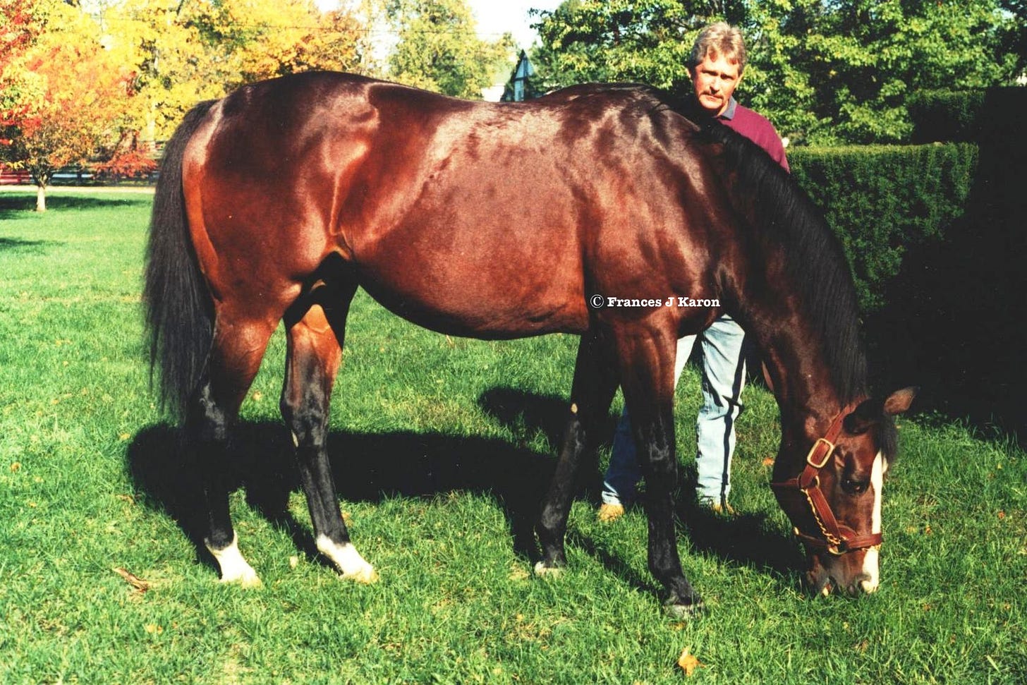 Claiborne bred champion and leading sire Nureyev from an unplaced mare retained by Seth Hancock for breeding purposes. Claiborne bred champion and leading sire Nureyev from an unplaced mare retained by Seth Hancock for breeding purposes.