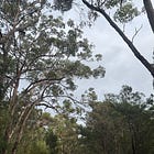 A dream, a butterfly & a morning run