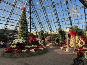Edmonton Playgrounds Holiday Light ups and Santa Parades Muttart Conservatory