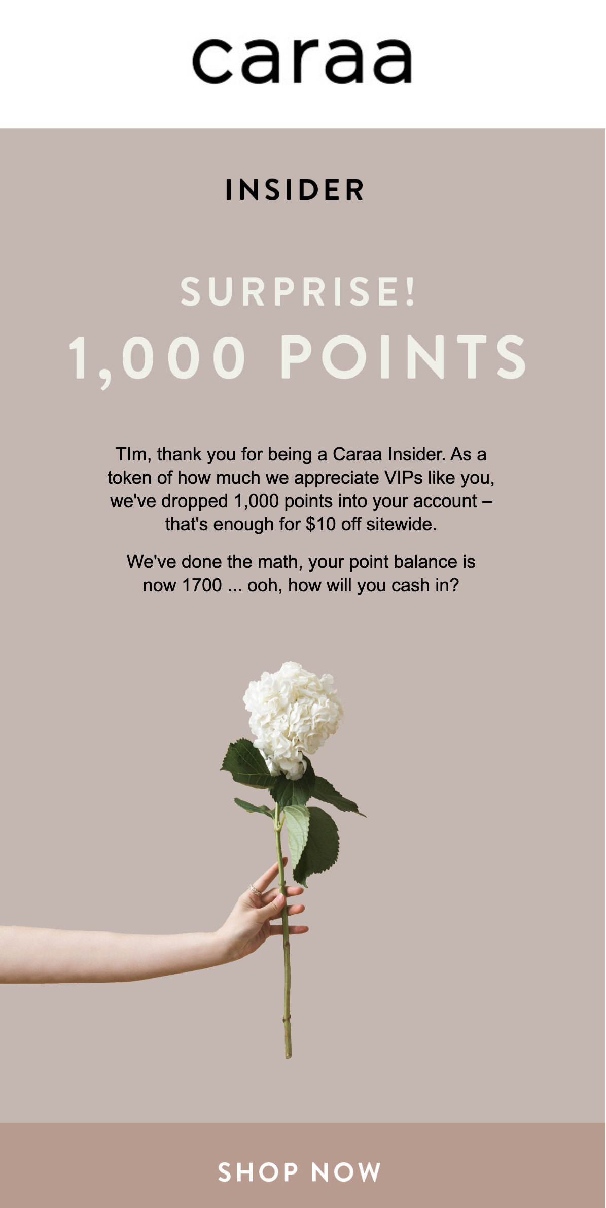 A real loyalty email from Caraa announcing a bonus points promotion to program members