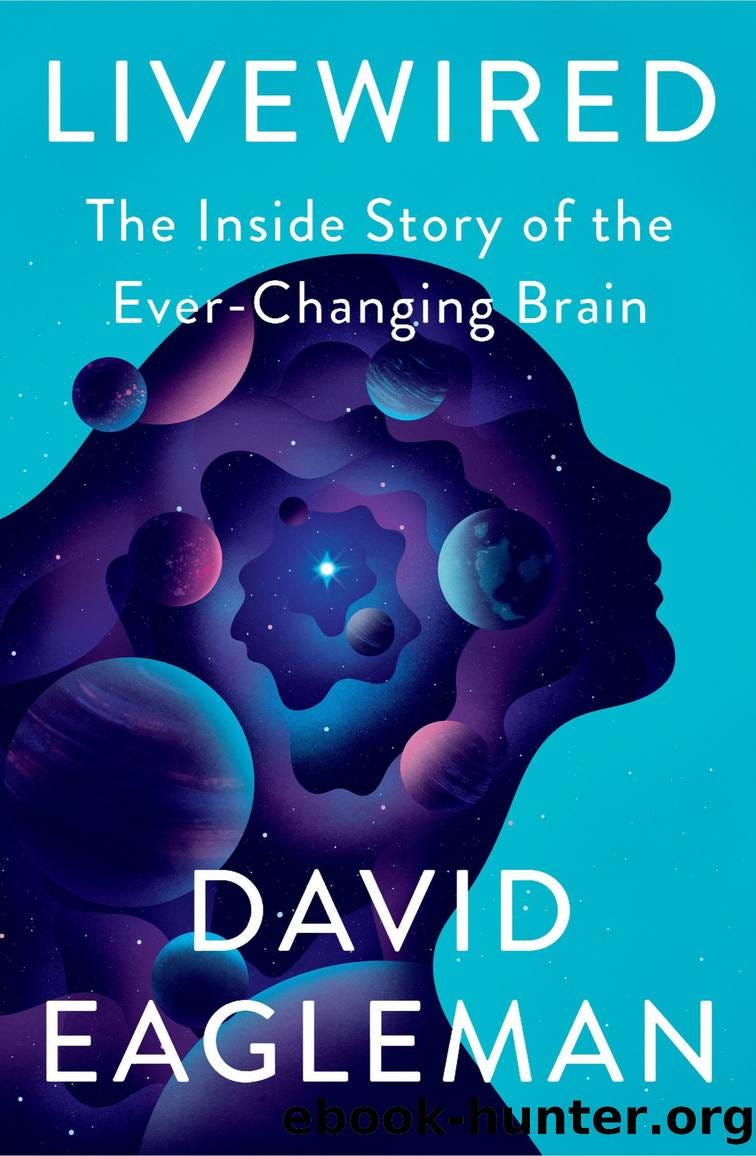 Livewired by David Eagleman - free ebooks download