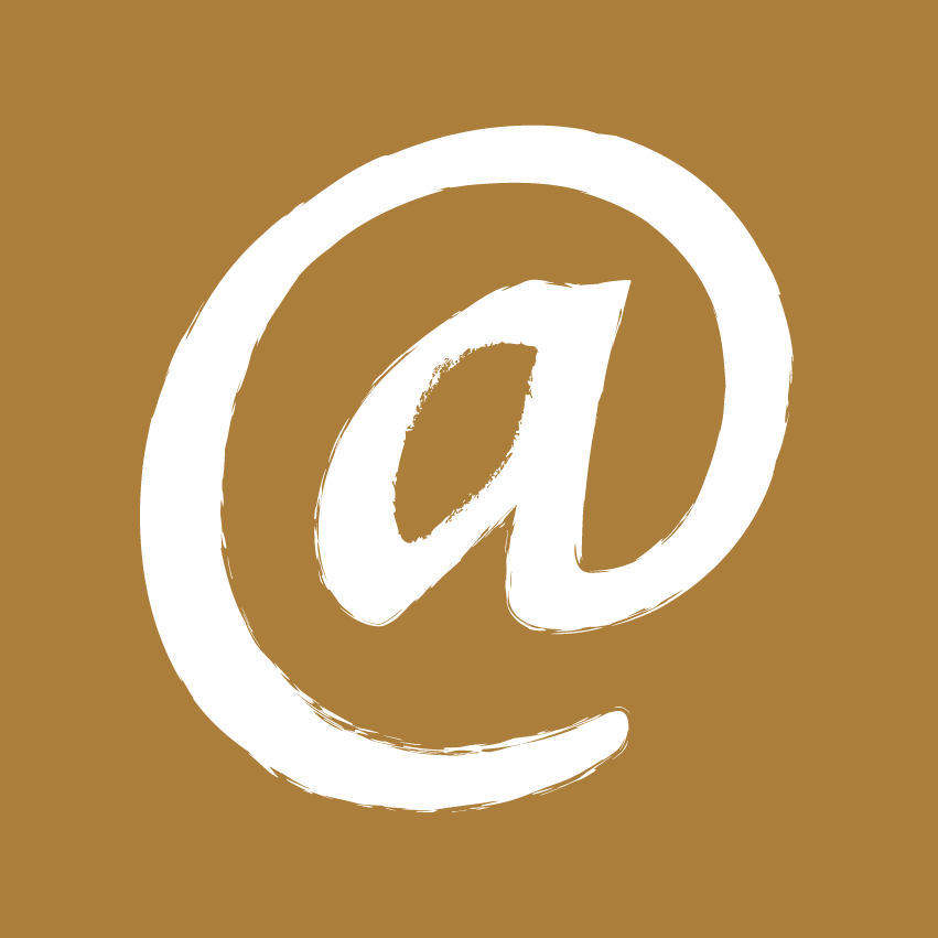 The Accidental Archive logo