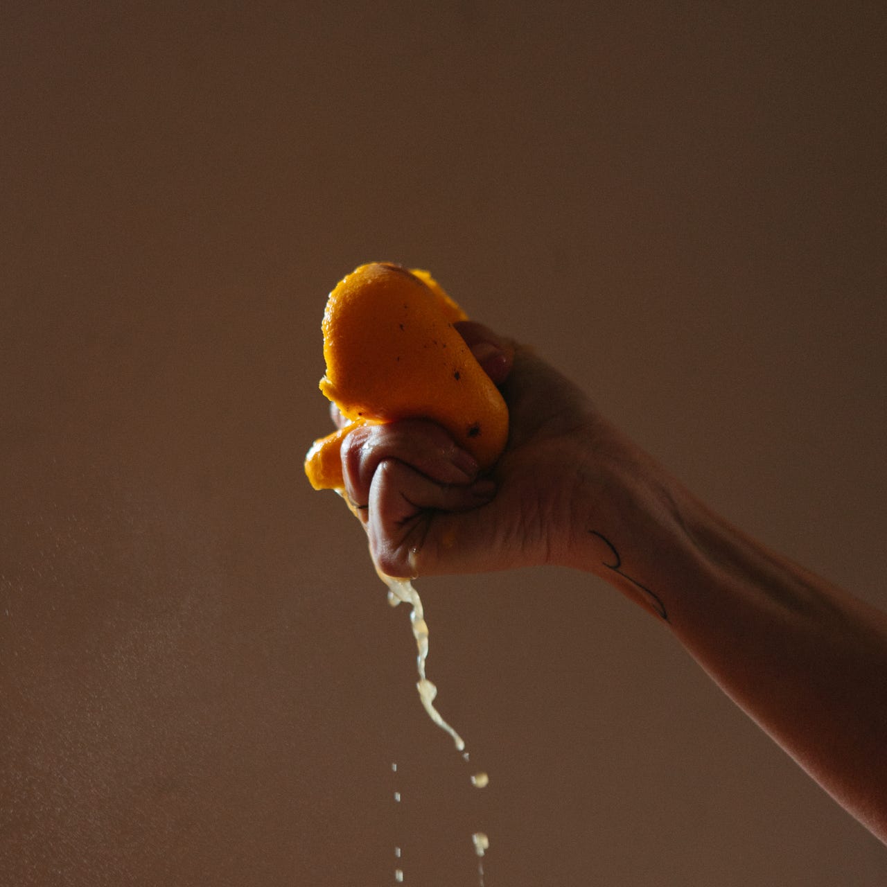 The Juice by Mindy Fetzer