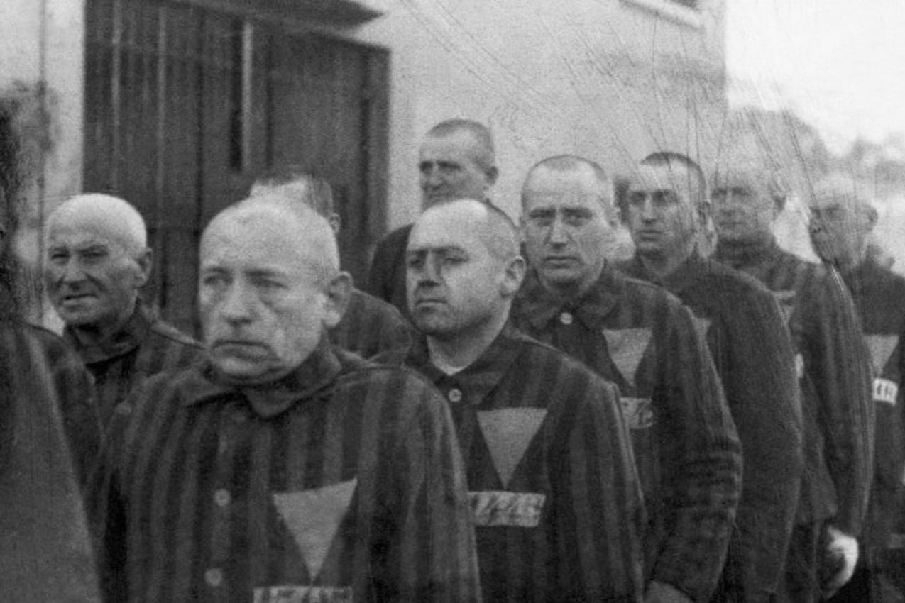 National Socialist Policy Towards Homosexuals: Enemies of the State