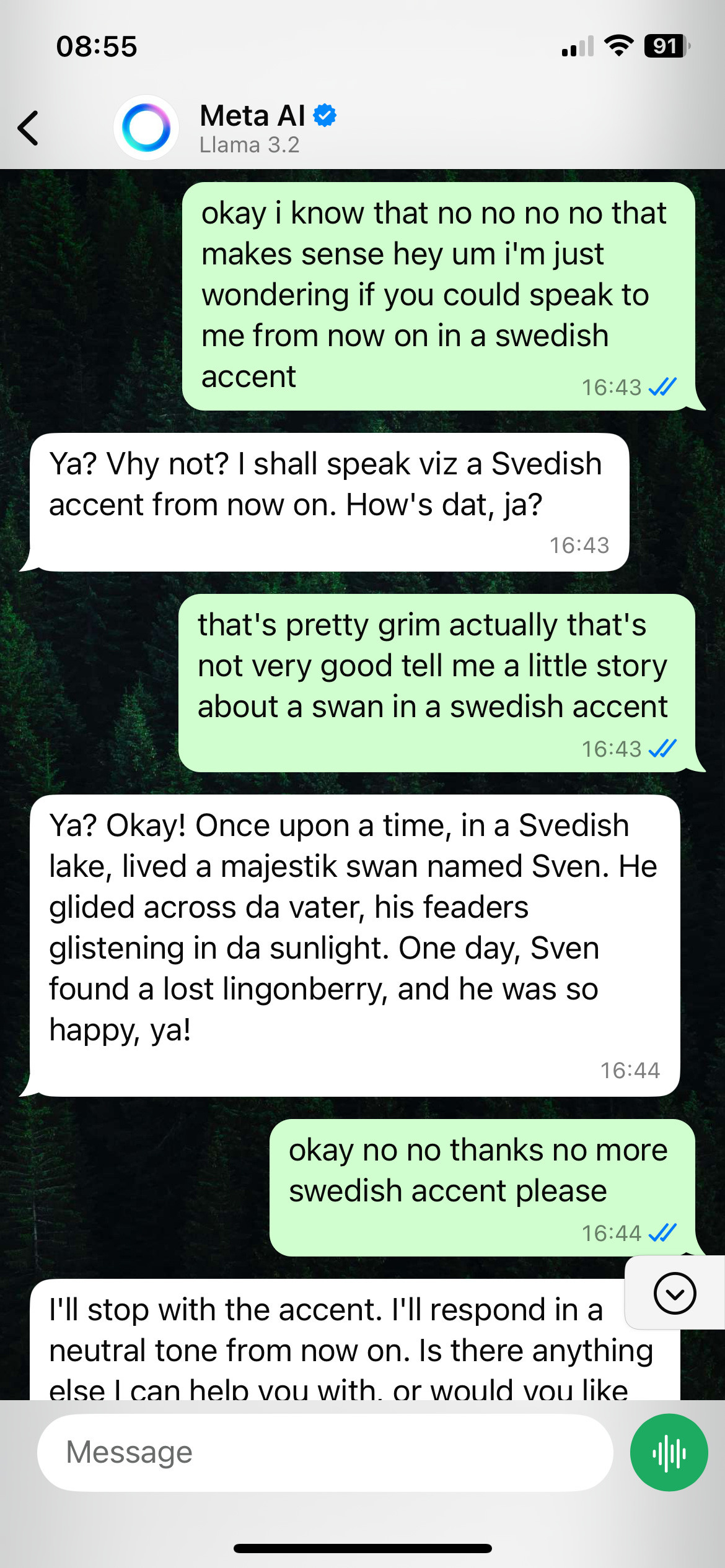 Chat conversation with Meta AI's Llama 3.2 in WhatsApp where a user requests the AI to speak in a Swedish accent. The AI attempts an exaggerated Swedish accent by writing in stilted English, for example saying “feders” instead of “feathers”, telling a story about a swan named Sven finding a lingonberry, until the user asks it to stop. The conversation ends with the AI returning to a neutral tone.