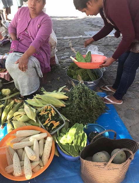 Colorful images of Oaxacan food