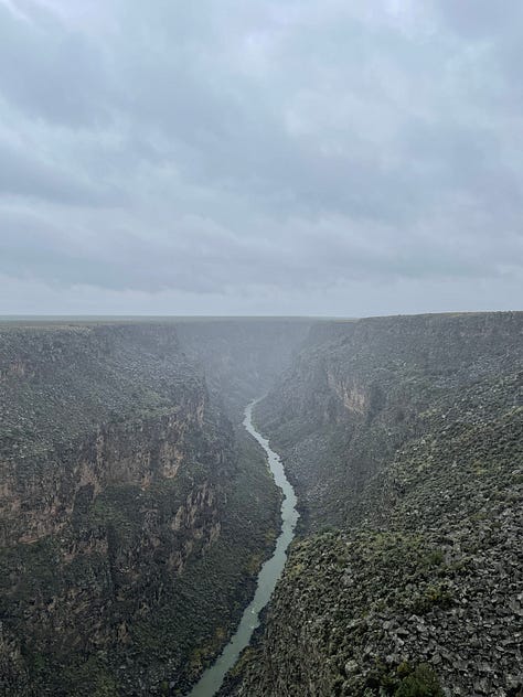 Landscapes and a picture of a purse in a bookshop