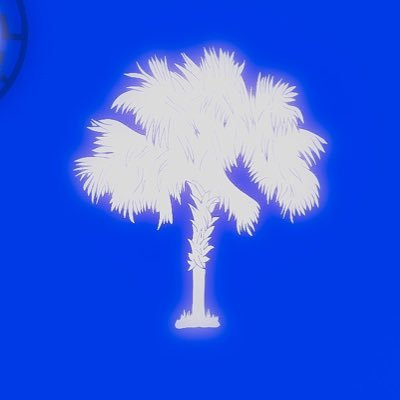 Substack profile picture for @shrimp