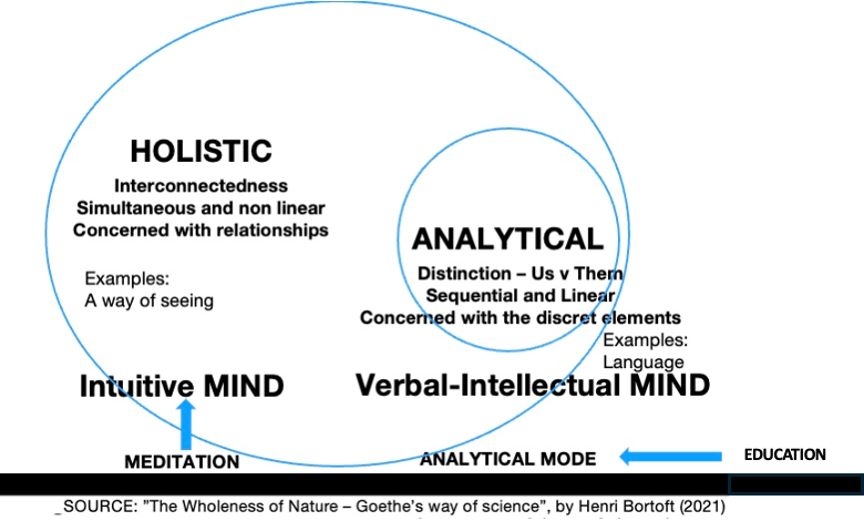 The Intuitive Mind in the Age of Transformation