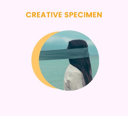 The Archetype Journal | Bryn McCoy | Substack