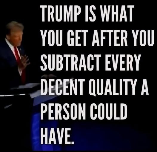 May be an image of 1 person and text that says 'TRUMP IS WHAT YOU GET AFTER YOU SUBTRACT EVERY DECENT QUALITY A PERSON COULD HAVE.'