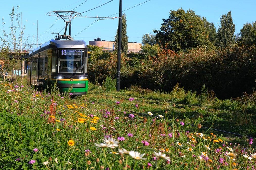 A green and black tram marked "13 Länsi-Pasila" travels through a lush, flower-filled grassy median on a sunny day. The tracks are surrounded by wildflowers in pink, yellow, and white, with trees and shrubbery in the background under a clear blue sky. 