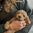 Nobody assigned me any of this. It just became mine.