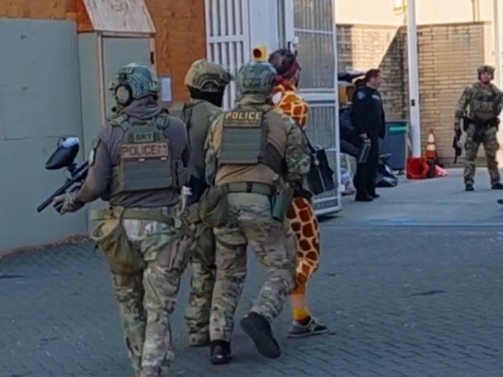 Feds Explain Arrest of Comedian Dressed as a Giraffe, Caught on Video