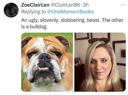 Flight 587 plane crash fallout: A stalker's comparison to me and a dog Flight 587 plane crash fallout: A stalker's comparison to me and a dog