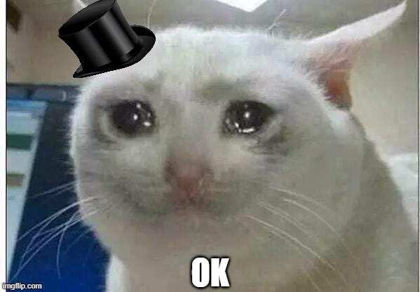 crying cat - Imgflip