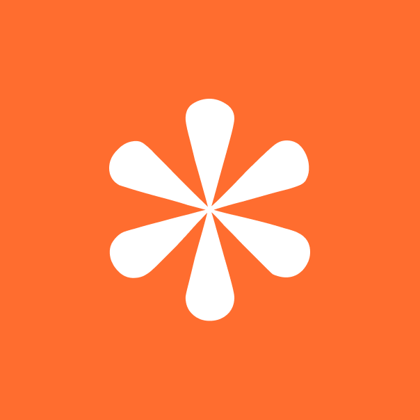 The Curiosity Insights