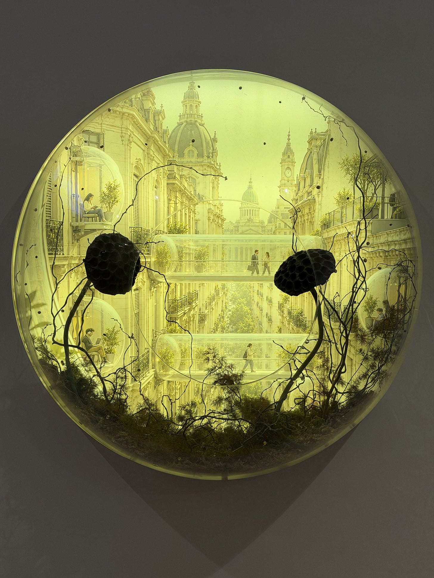 Instalación de Estudio MOLA: una cúpula de vidrio circular con una vista del microcentro de Buenos Aires y la cúpula del Congreso al fondo, intervenida con ramas, plantas y cápsulas. Instalación de Estudio MOLA: una cúpula de vidrio circular con una vista del microcentro de Buenos Aires y la cúpula del Congreso al fondo, intervenida con ramas, plantas y cápsulas.