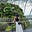 Emily Wong's avatar