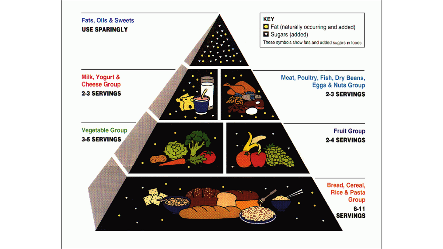 The 1992 USDA Food Pyramid illustrating recommended daily servings, with grains at the base and fats and oils at the top. The 1992 USDA Food Pyramid illustrating recommended daily servings, with grains at the base and fats and oils at the top.