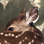 mim's avatar