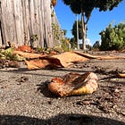 When Nature’s Bounty is too Much to Bear