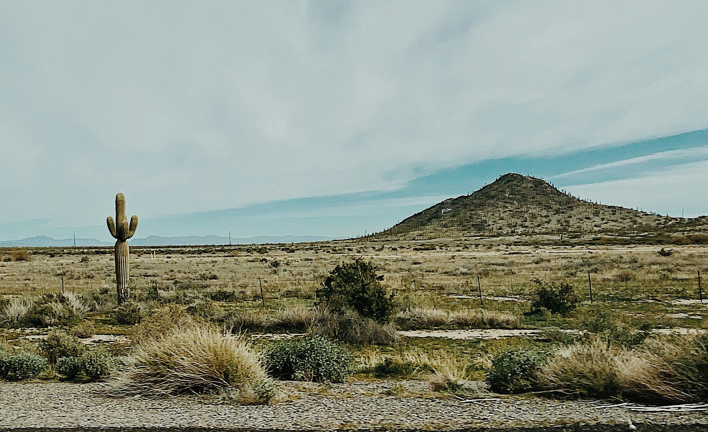 An Arizona desert along the highway during the day An Arizona desert along the highway during the day
