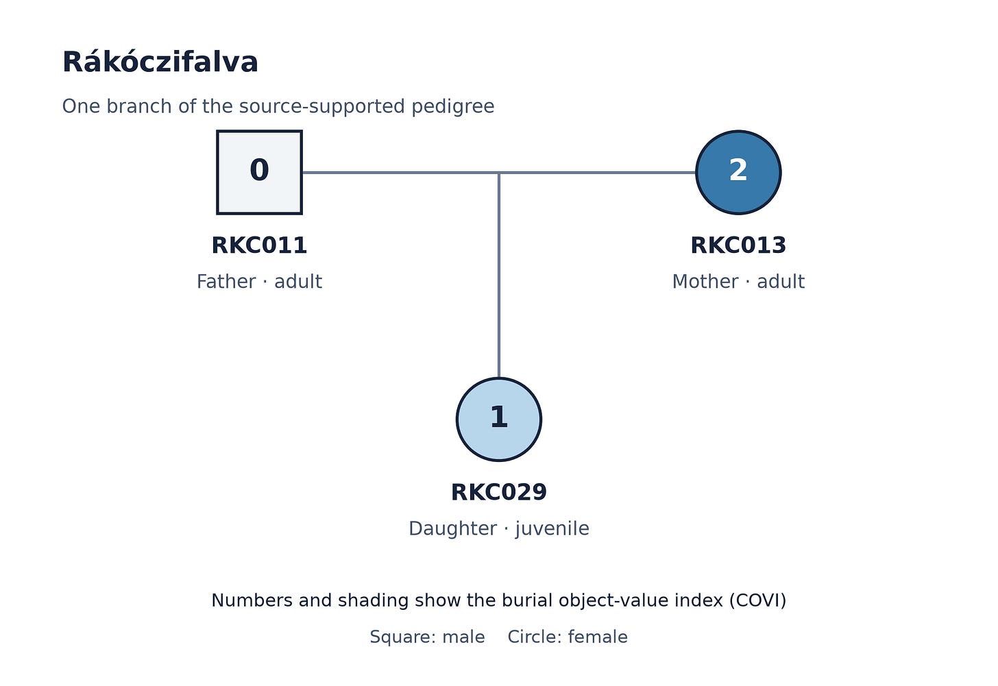 A source-supported Rákóczifalva pedigree branch shows father RKC011, mother RKC013 and daughter RKC029, with burial object-value scores zero, two and one. A source-supported Rákóczifalva pedigree branch shows father RKC011, mother RKC013 and daughter RKC029, with burial object-value scores zero, two and one.