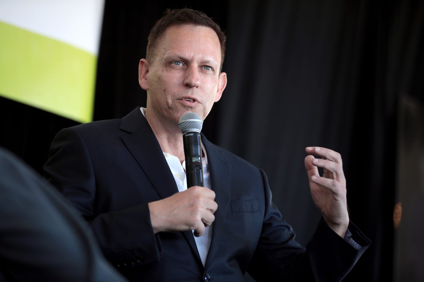 File:Peter Thiel (51876289521).jpg - Wikimedia Commons