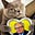 Sands & Ted's avatar