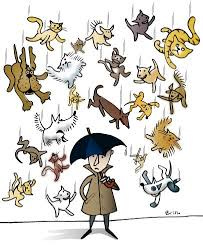 It's raining cats and dogs today! 🌧 While most native English speakers  know this means that it's raining heavily, an English Language Learner  might be quite confused! Figurative language, including idioms, often