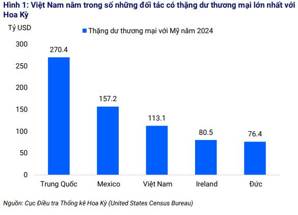 Những nhóm ngành nào sẽ chịu "tổn thương" nếu Mỹ áp thuế quan lên Việt Nam?- Ảnh 1.