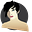 Steve Bingham's avatar