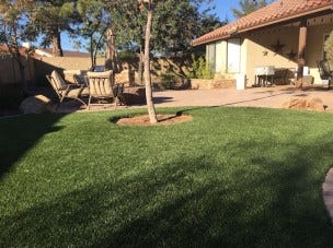 backyard-grass