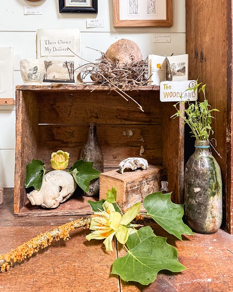 mummy mouse skeleton plants antique boxes vintage finds