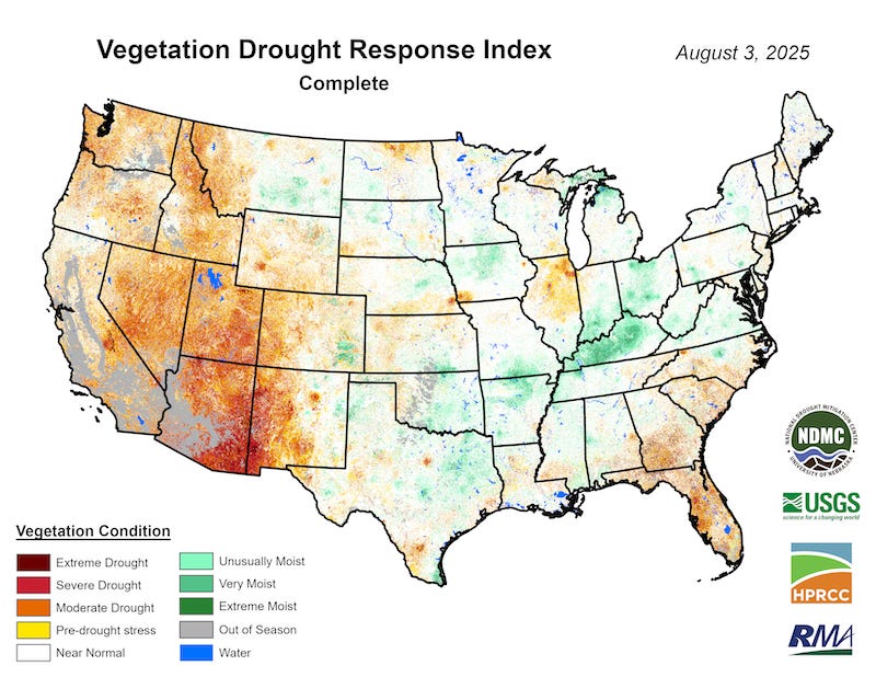 Vegetation is dry and stressed across the West, but particularly in Arizona and western New Mexico. Vegetation is also dry in the Southeast U.S. 
