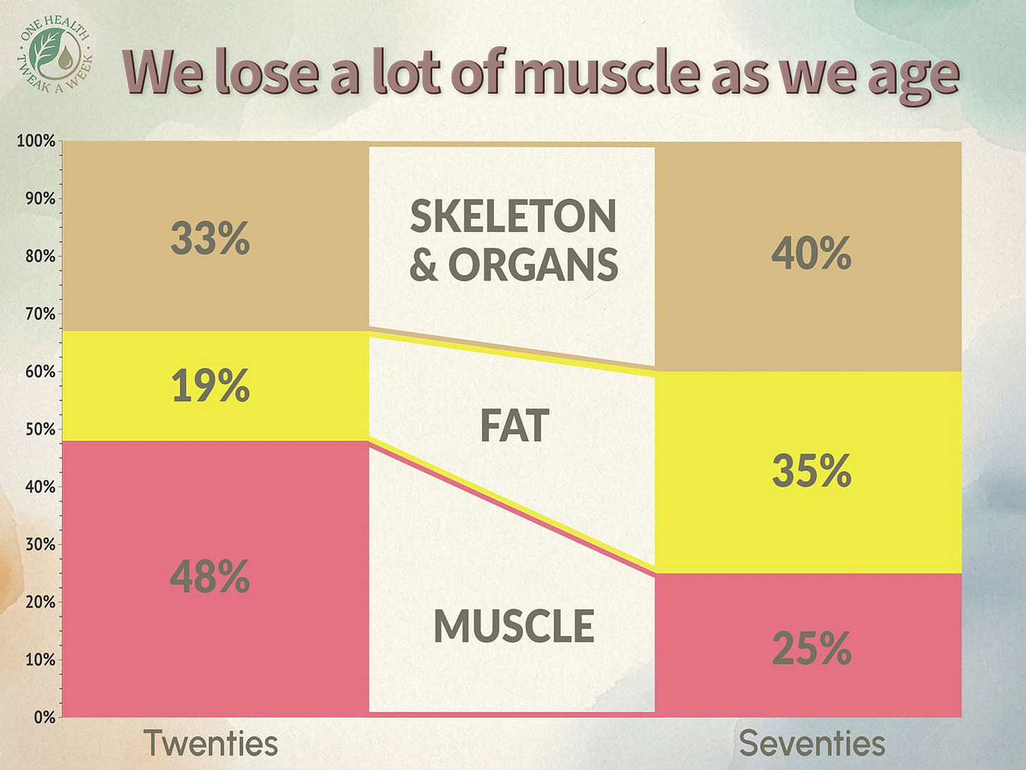 A diagram showing how our body composition changes from our twenties to our seventies, with muscle falling from an average of 48% body weight to 25%.