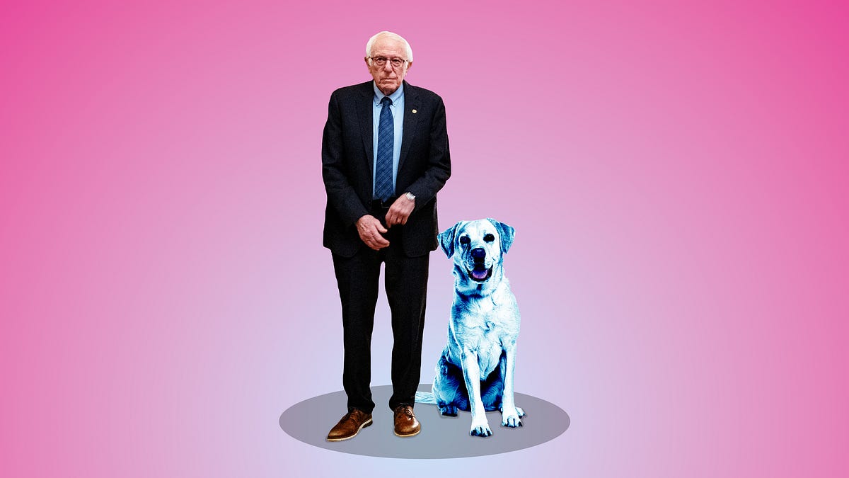Bernie Dogs Could Teach Democrats a New Trick