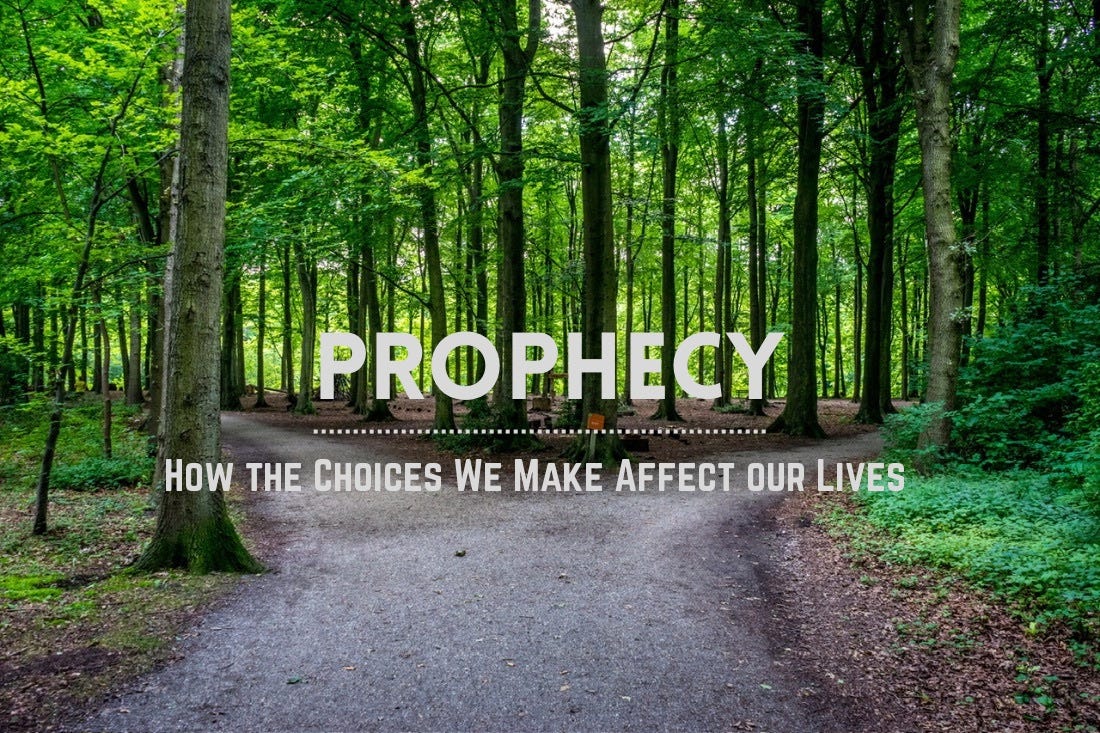 Two paths going in opposite directions in the woods Two paths going in opposite directions in the woods